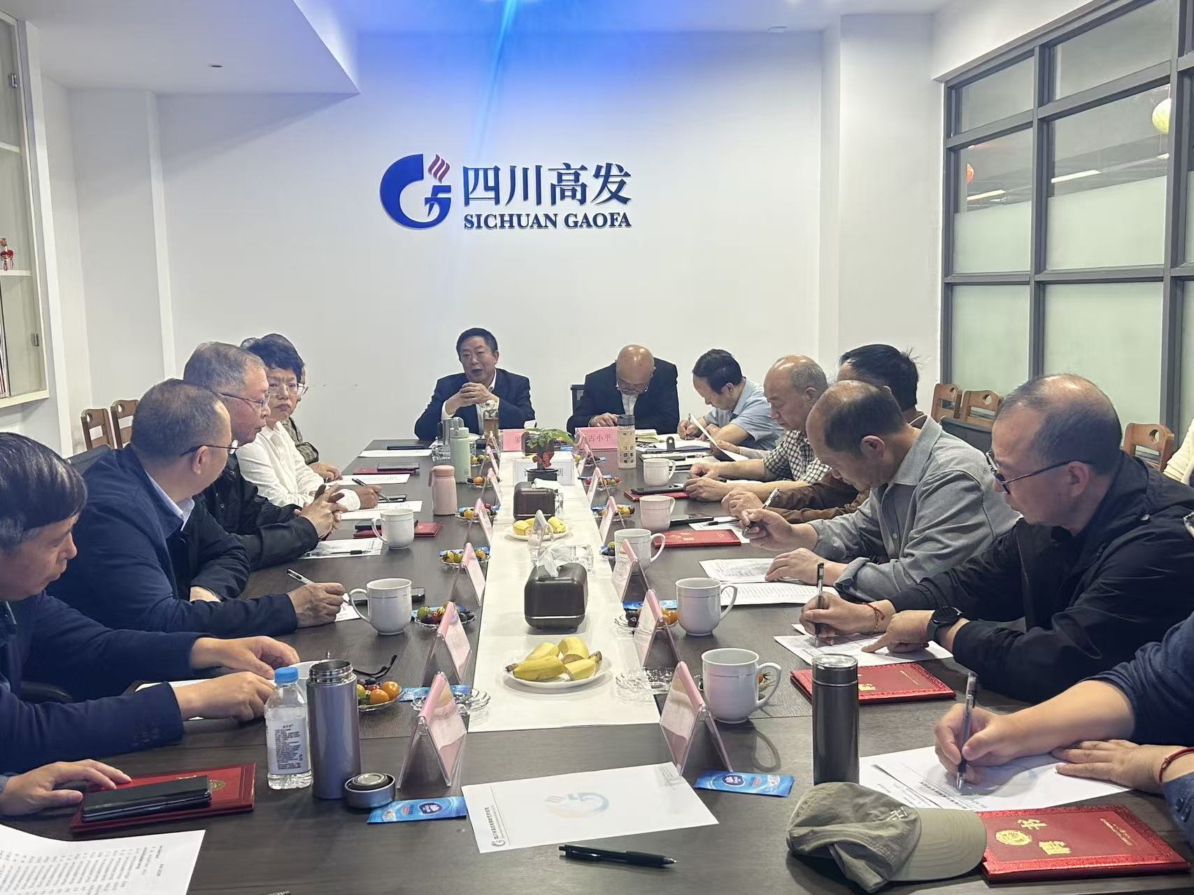 凝智聚力 赋能发展 —— 四川省高发城镇燃气研究院 2026 年度专家、顾问委员会第一次会议圆满召开